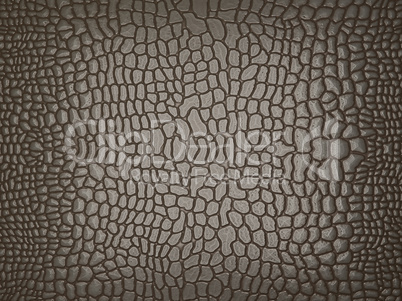 Grey Alligator skin: useful as texture or background