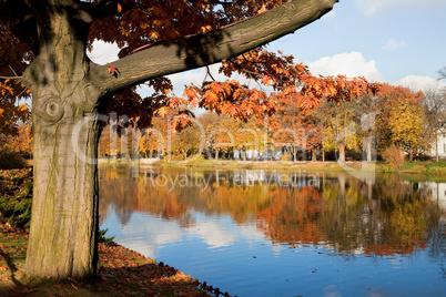 Lazienki Royal Park in Warsaw