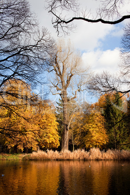 Lazienki Park Autumn Scenery