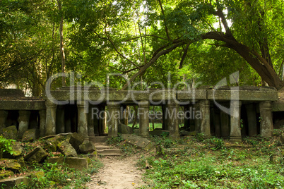 Ancient Ruins in Cambodia