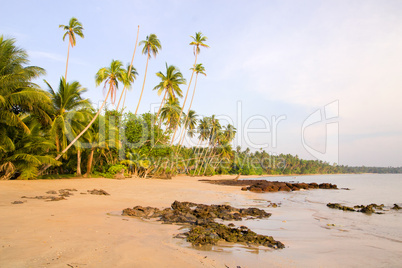 Tropical Island in Thailand