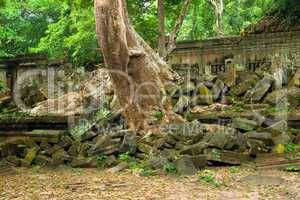 Scenic Temple Ruins in the Jungle