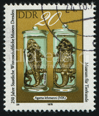 postage stamp