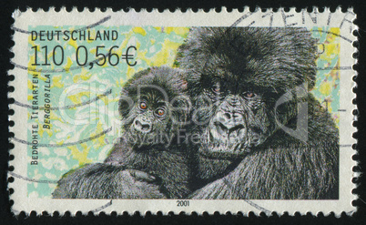 postage stamp