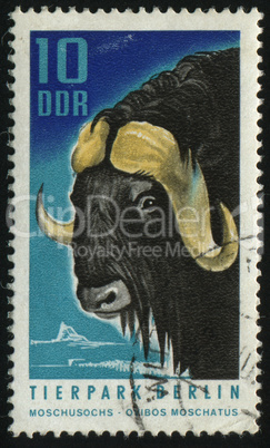 postage stamp