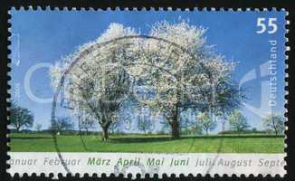 postage stamp