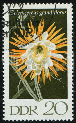 postage stamp