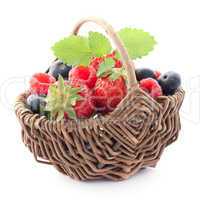 Obstkorb / fruits in a basket