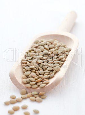 Linsen / lentils