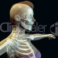 frauenkörper mit skelett