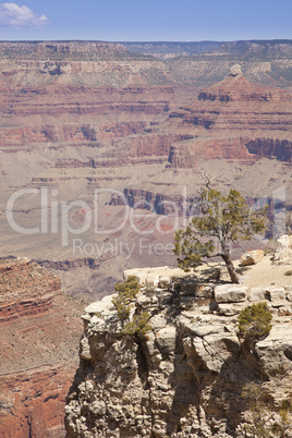 Beautiful Grand Canyon Landscape View