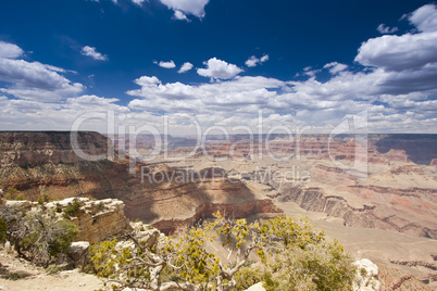 Beautiful Grand Canyon Landscape View