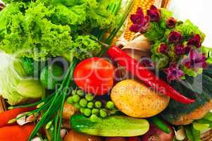 Vegetables - cabbage, tomato, cucumber, onion, lettuce and so on