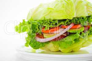 Vegetarian burger - cabbage, tomato, cucumber, onion, lettuce