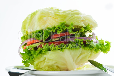 Vegetarian burger - cabbage, tomato, cucumber, onion, lettuce