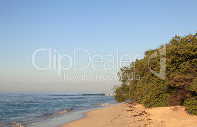 Tropical beach during sunrise time