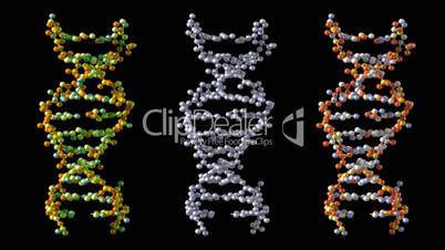 Turning DNA
