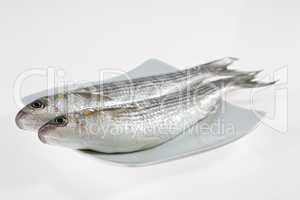 Two fish on white plate