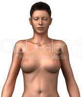Naked woman isolated upper body