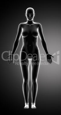 Female figure in anatomical position anteriror view