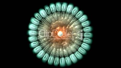 3d animation of cells.Bacteria,algae,cells,drugs,egg,