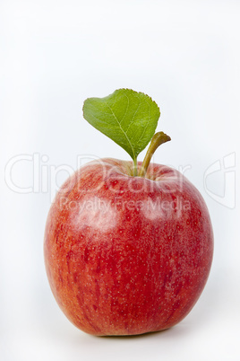 Apfel