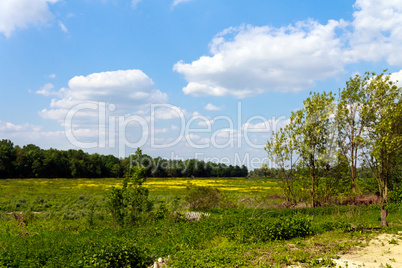 Ried,und Naturschutzgebiet,Obeda