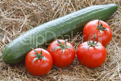 Tomaten und Gurke - Tomatoes and Cucumber