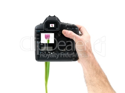 Hand Held Digital Camera