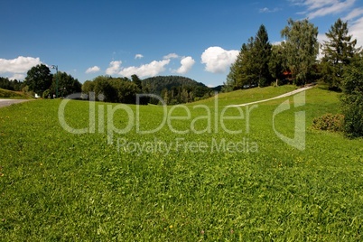 Lush Alpine meadow in bright summer day