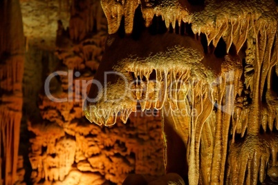 Stalactite in shape of paws in Soreq Cave, Israel