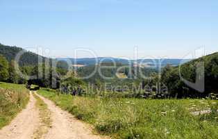 Country road among green hills and meadows in Wachau, Austria