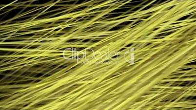 Hay.plant,rice,grain,harvest,fiber,textile,weaving,wool,bacteria,microbes,Design,pattern,symbol,dream,vision,idea,creativity,vj,beautiful,Wheat,barley,Reed,harvest,farmland