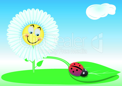 Funny flower and Ladybird