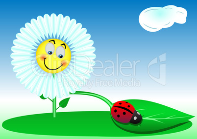 Funny a flower and a ladybird
