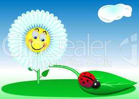 Funny a flower and a ladybird
