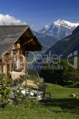 Sicht auf Wetterhorn