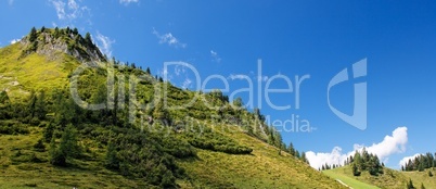 Lush green hill in bright summer day in Alps