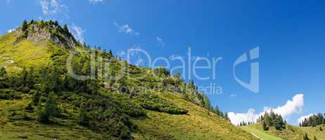 Lush green hill in bright summer day in Alps