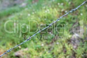 Single strand of barbed wire