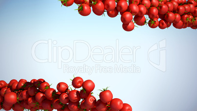 Two Tomatoe Cherry flows with space for text