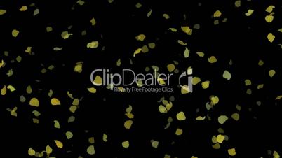 falling yellow leaves and ginkgo,flower petals.particle,material,texture,Fireworks,Design,pattern,symbol,dream,vision,idea,creativity,creative,beautiful,art,decorative,mind,Game,Led,neon lights,modern,stylish,dizziness,romance,romantic,fire,flame,gas,ligh