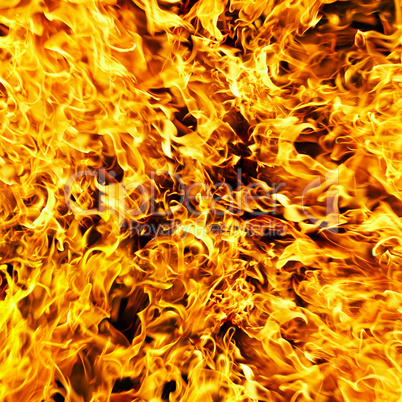 Fire photo on a black background