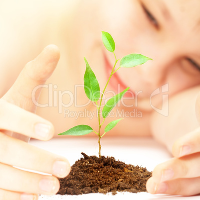 boy looks at a young plant