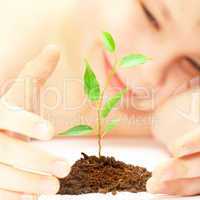 boy looks at a young plant