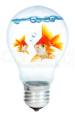 Gold small fish in light bulb