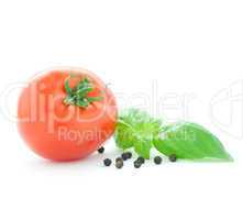 Tomate und Basilikum / tomato and basil