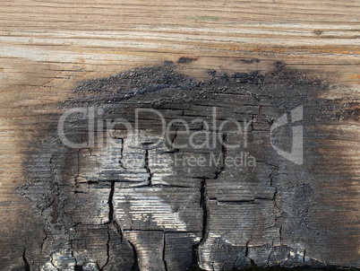 Burned wood