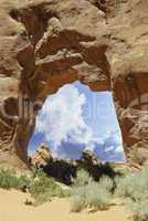 Nature of Arches National Park