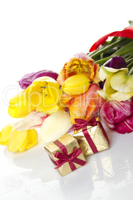 Tulips and two gift box